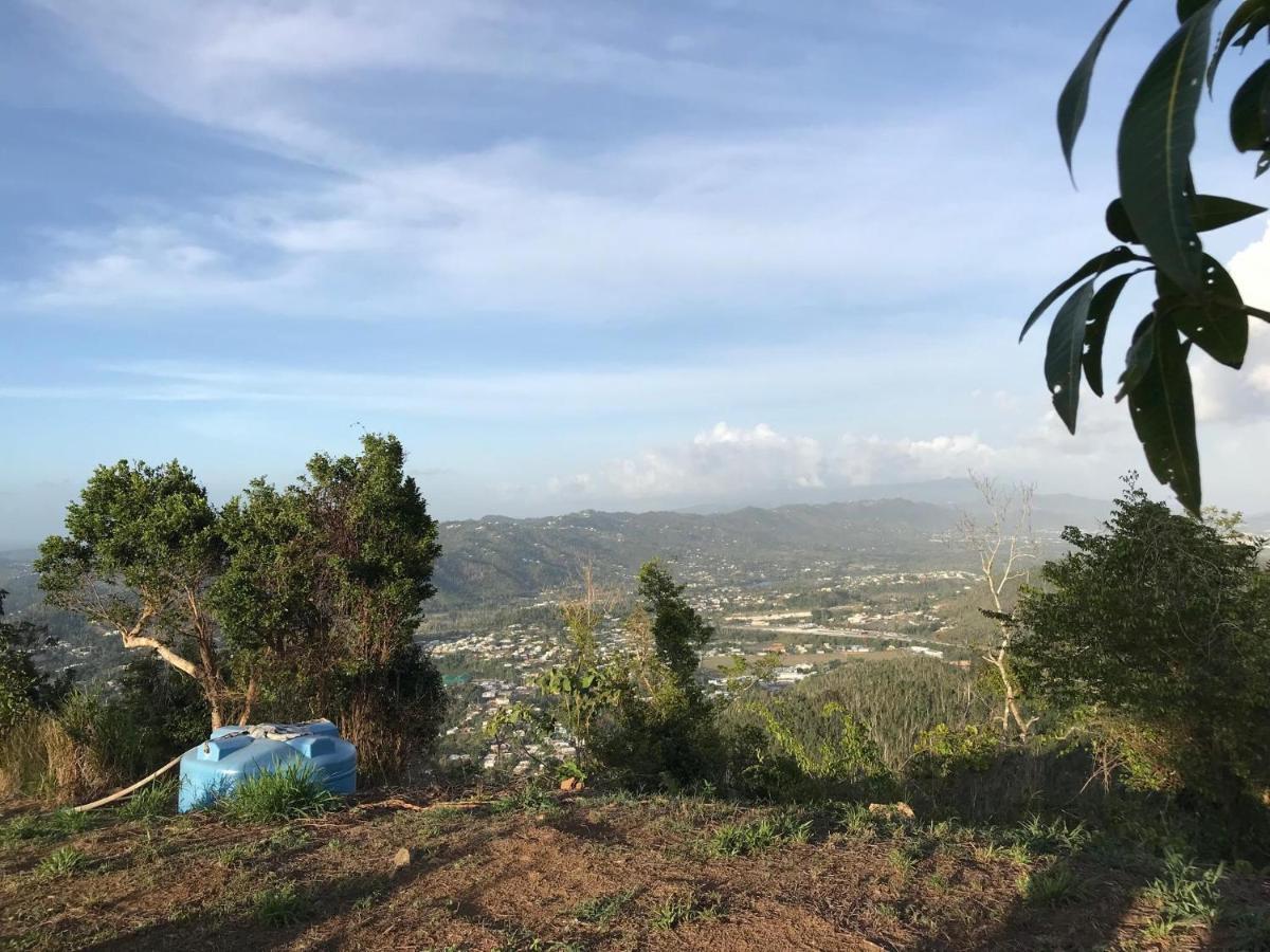 Camping Para Dos - A Escoger Segun Disponibilidad De Caseta O Cabana Caguas Exterior foto