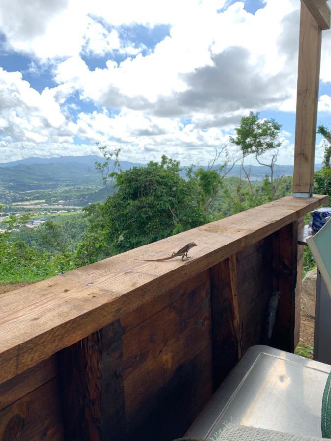 Camping Para Dos - A Escoger Segun Disponibilidad De Caseta O Cabana Caguas Exterior foto