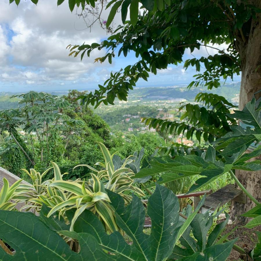 Camping Para Dos - A Escoger Segun Disponibilidad De Caseta O Cabana Caguas Exterior foto