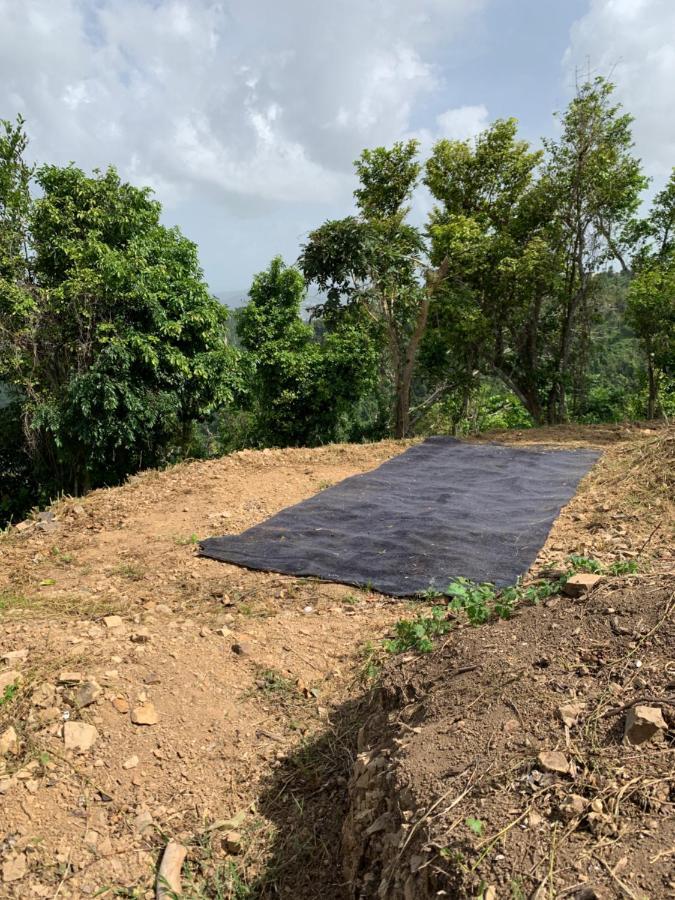 Camping Para Dos - A Escoger Segun Disponibilidad De Caseta O Cabana Caguas Exterior foto