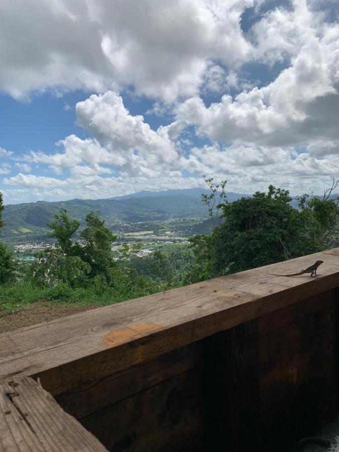 Camping Para Dos - A Escoger Segun Disponibilidad De Caseta O Cabana Caguas Exterior foto